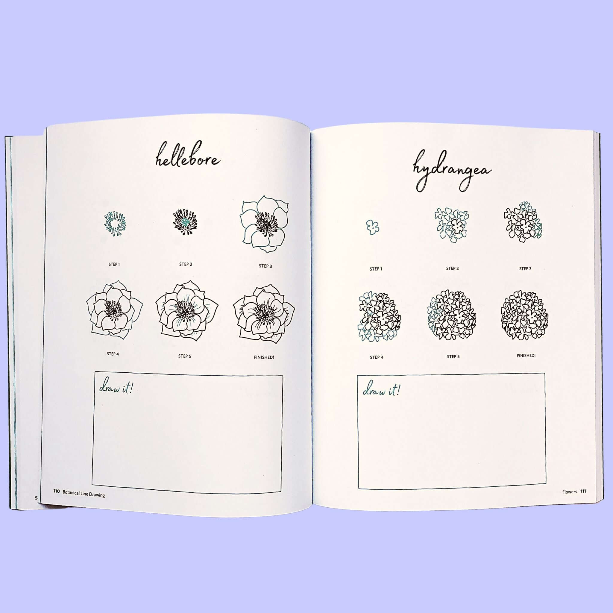 Botanical Line Drawing by Peggy Dean | The Pigeon Letters - Image 3