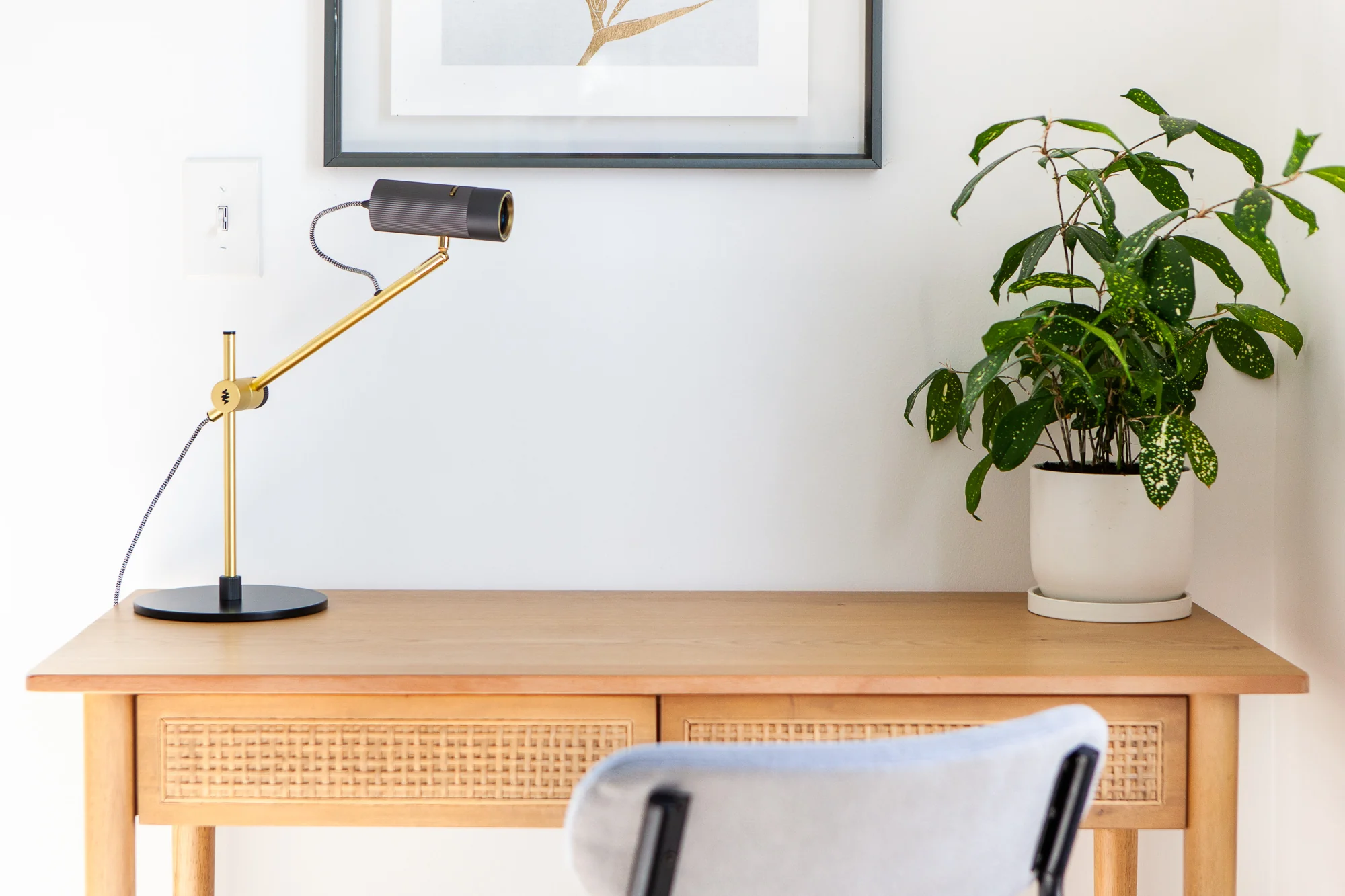CANVAS Focus Light - Image 5