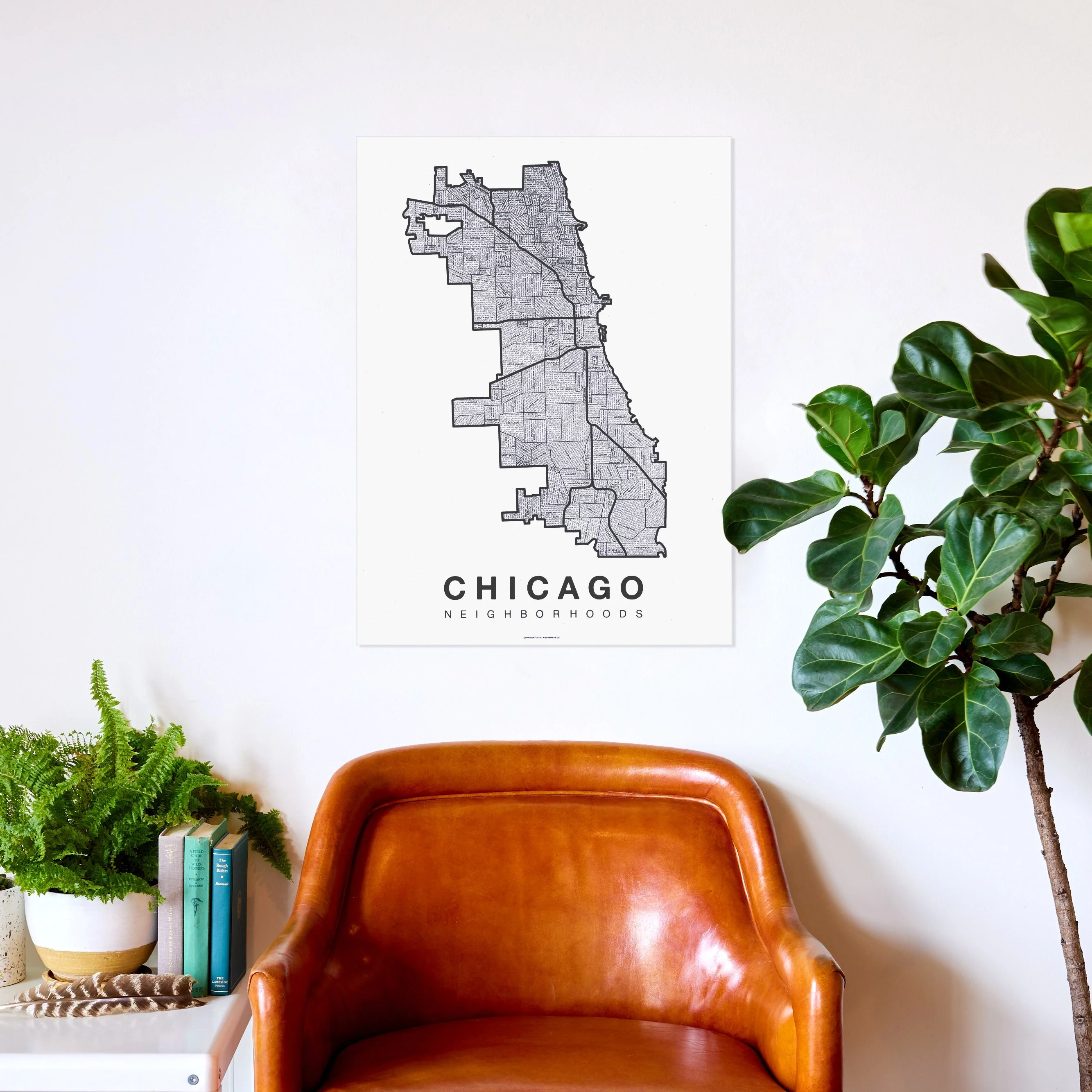 Chicago | Native Maps - Image 20